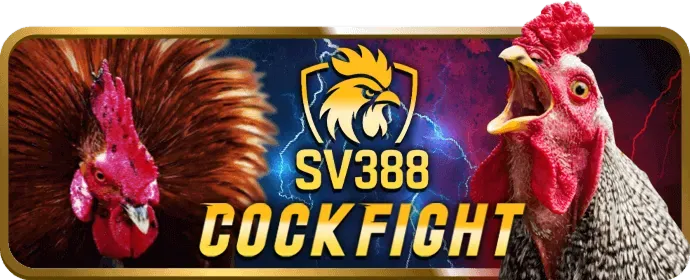 Bí Quyết Cá Cược Thể Thao bet77: Nắm Vững Kỹ Năng Phân Tích Trận Đấu